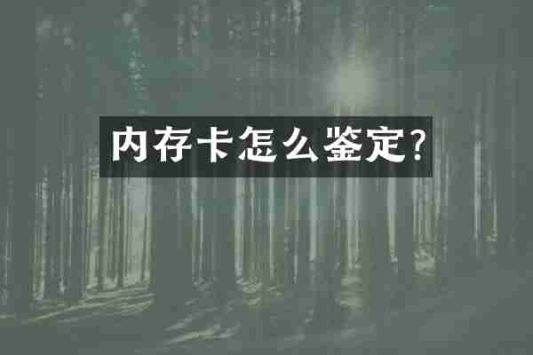 内存卡怎么鉴定?