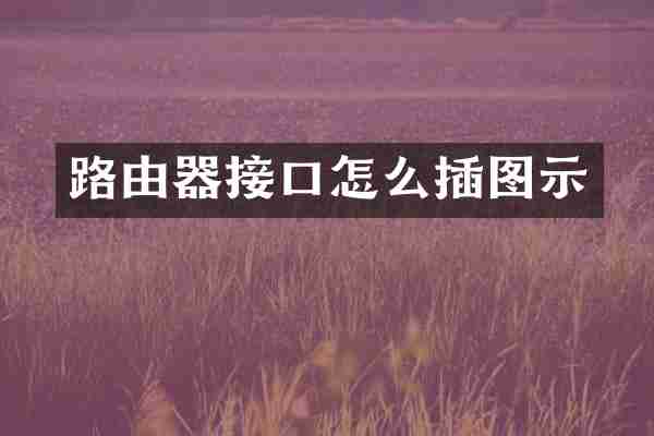 路由器接口怎么插图示
