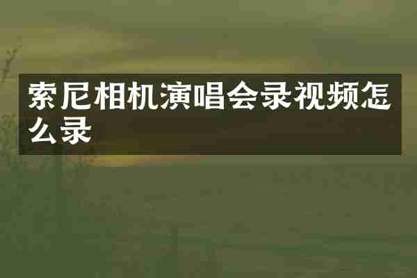 相机演唱会录视频怎么录