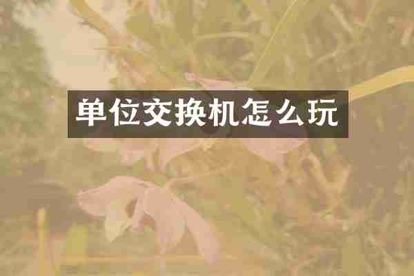 单位交换机怎么玩