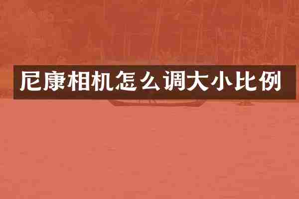 尼康相机怎么调大小比例