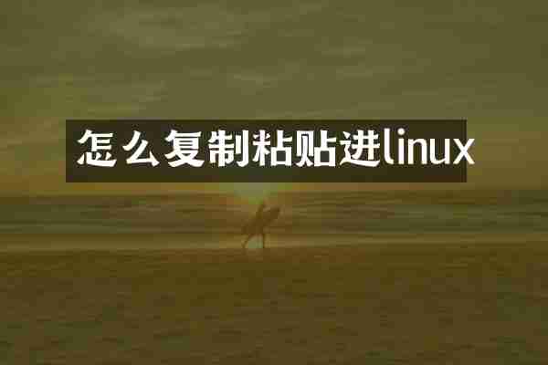 怎么复制粘贴进linux