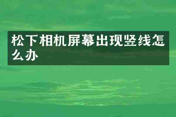 相机屏幕出现竖线怎么办
