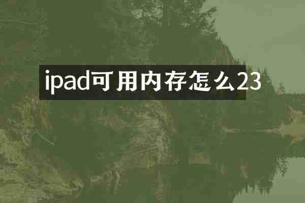 ipad可用内存怎么23