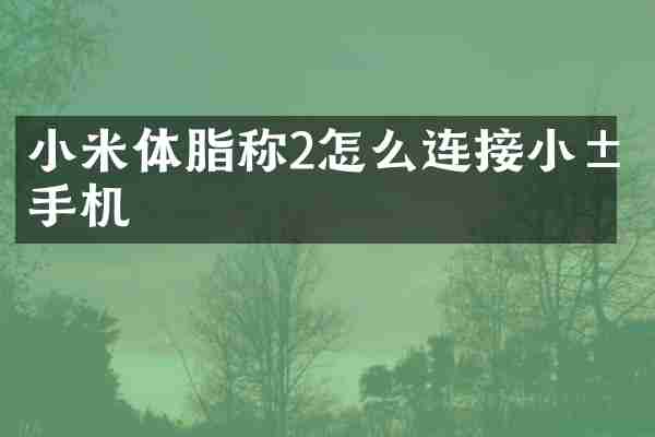 小米体脂称2怎么连接小米手机