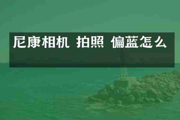 尼康相机 拍照 偏蓝怎么办