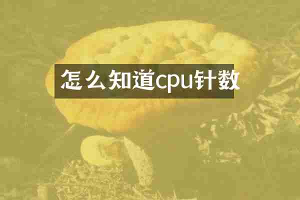 怎么知道cpu针数