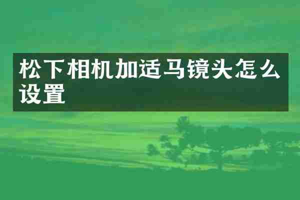 相机加适马镜头怎么设置