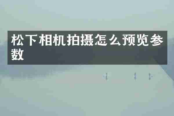 松下相机拍摄怎么预览参数