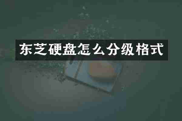 东芝硬盘怎么分级格式