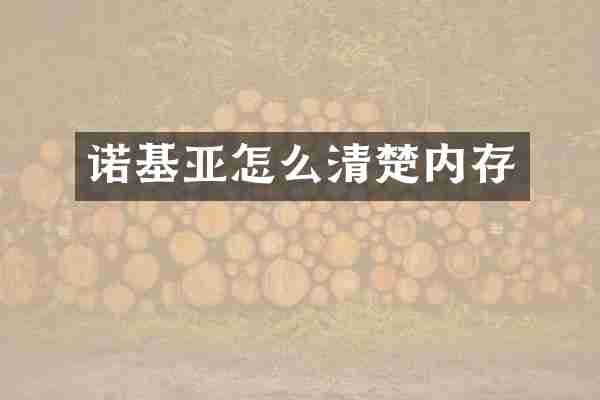 诺基亚怎么清楚内存