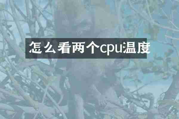 怎么看两个cpu温度