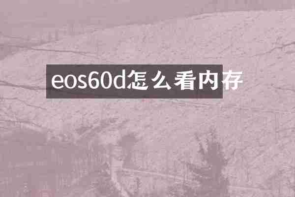 eos60d怎么看内存