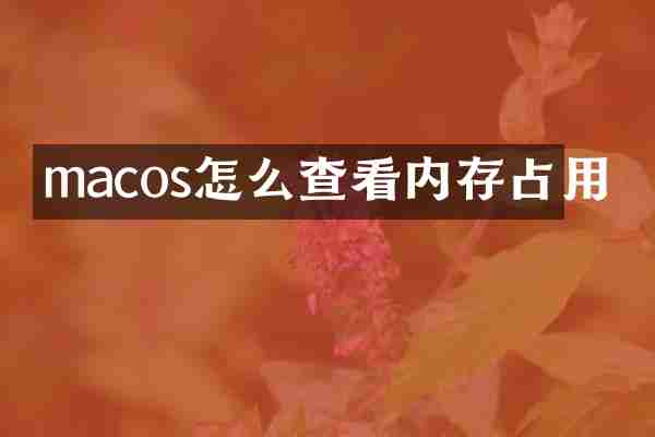 macos怎么查看内存占用