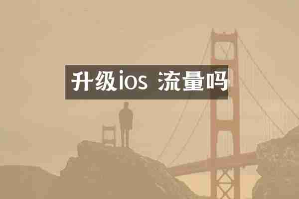 升级ios 流量吗