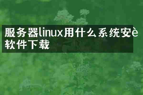服务器linux用什么系统安装软件下载