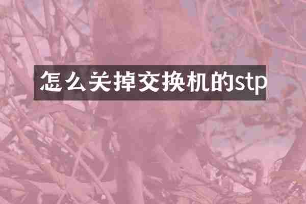 怎么关掉交换机的stp