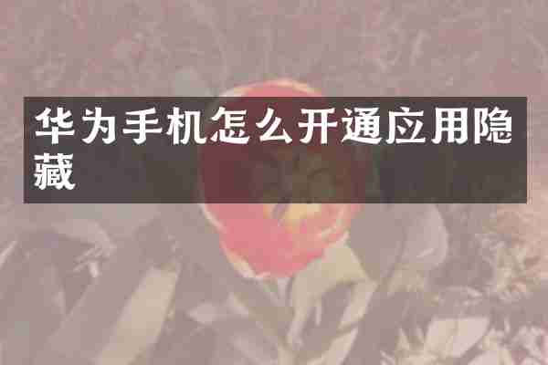 华为手机怎么开通应用隐藏