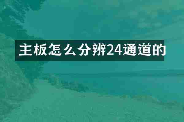 主板怎么分辨24通道的