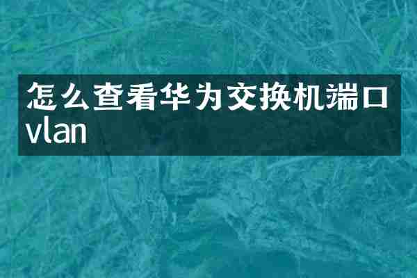 怎么查看华为交换机端口vlan