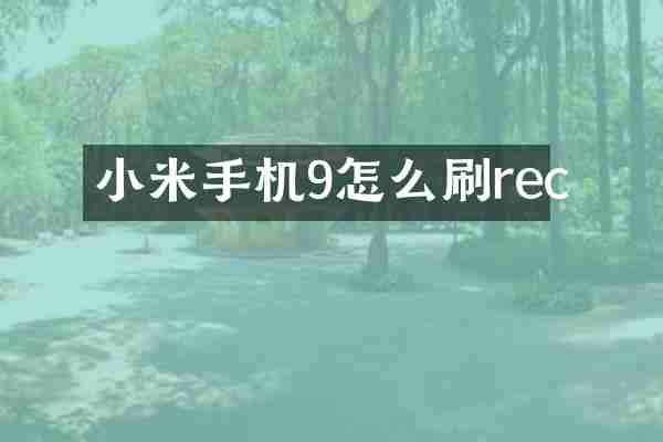 小米手机9怎么刷rec