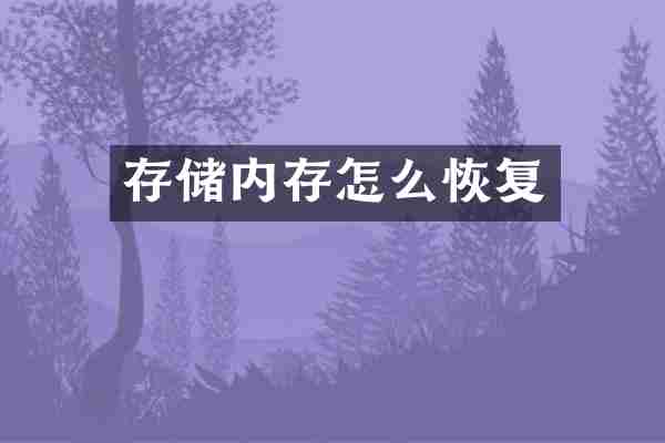 存储内存怎么恢复