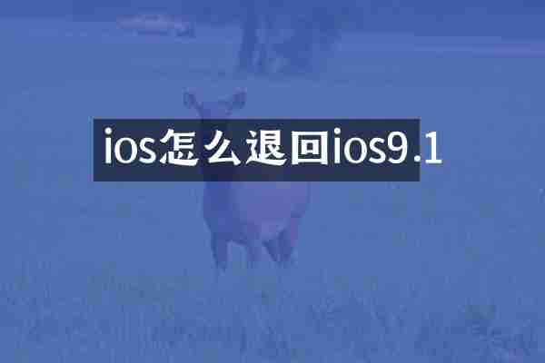 ios怎么退回ios9.1