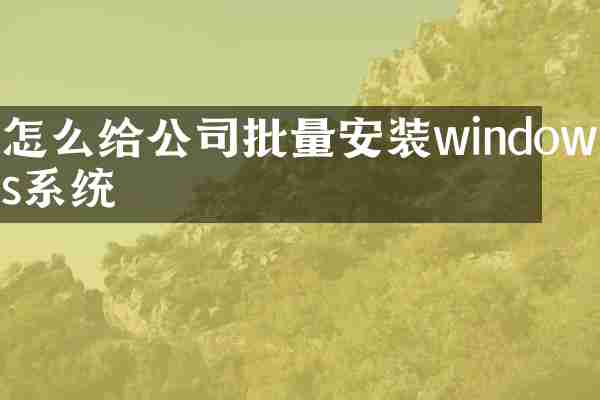怎么给公司批量安装windows系统