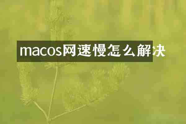 macos网速慢怎么解决