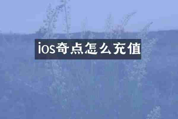 ios奇点怎么充值