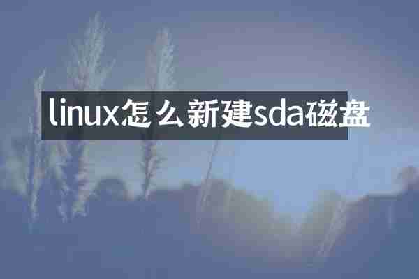 linux怎么新建sda磁盘