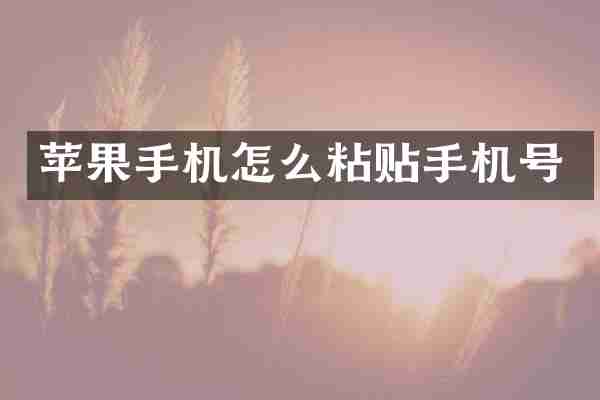 苹果手机怎么粘贴手机号