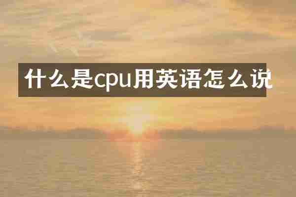 什么是cpu用英语怎么说