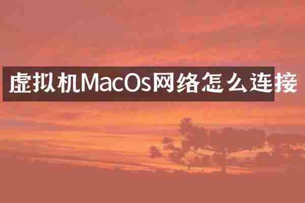 虚拟机MacOs网络怎么连接