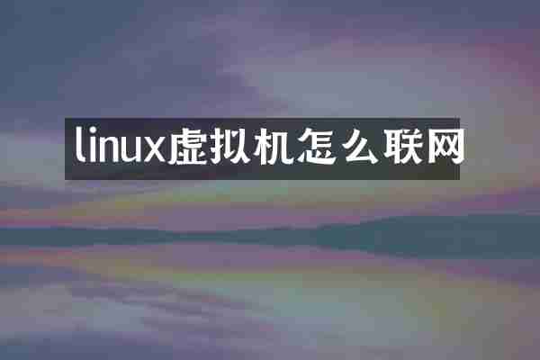 linux虚拟机怎么联网