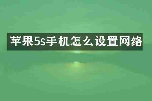 苹果5s手机怎么设置网络