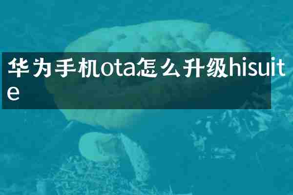 华为手机ota怎么升级hisuite