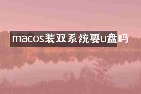 macos装双系统要u盘吗