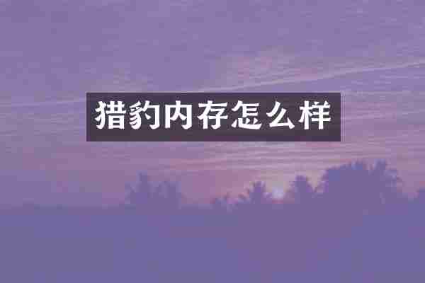 猎豹内存怎么样
