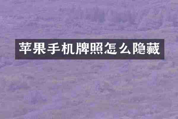 苹果手机牌照怎么隐藏