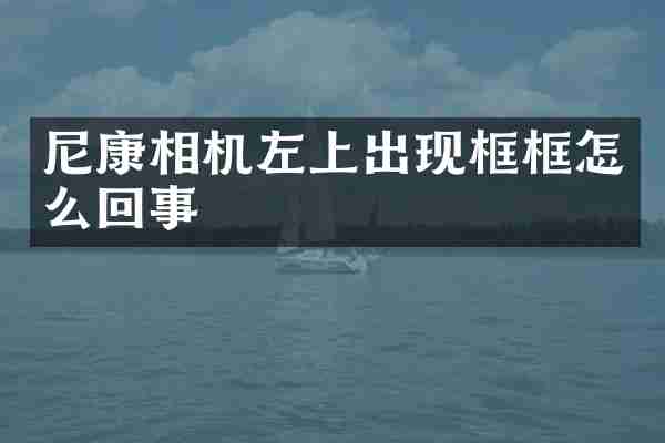 尼康相机左上出现框框怎么回事