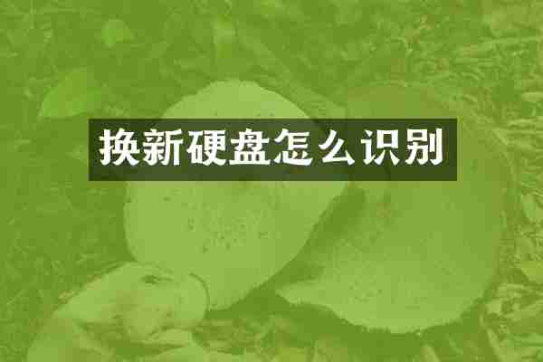 换新硬盘怎么识别