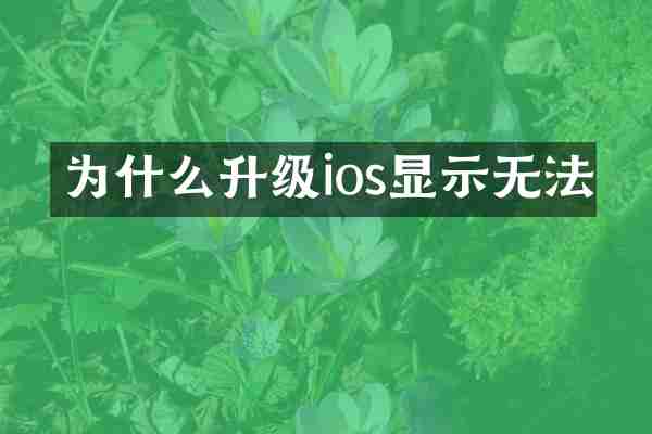 为什么升级ios显示无法