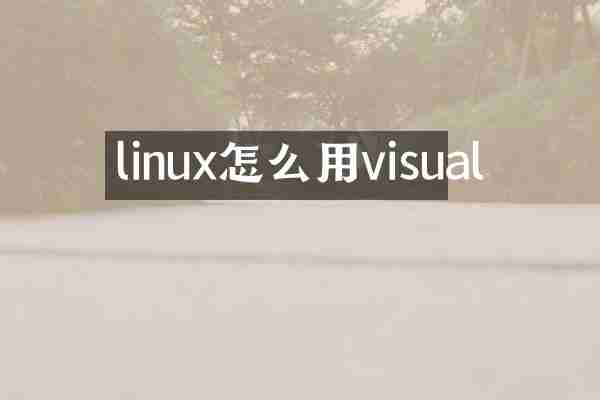 linux怎么用visual