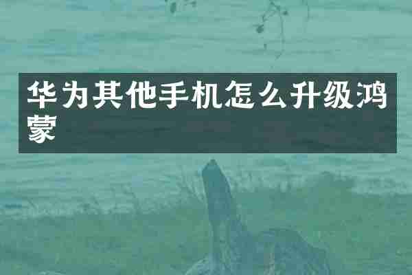 华为其他手机怎么升级鸿蒙