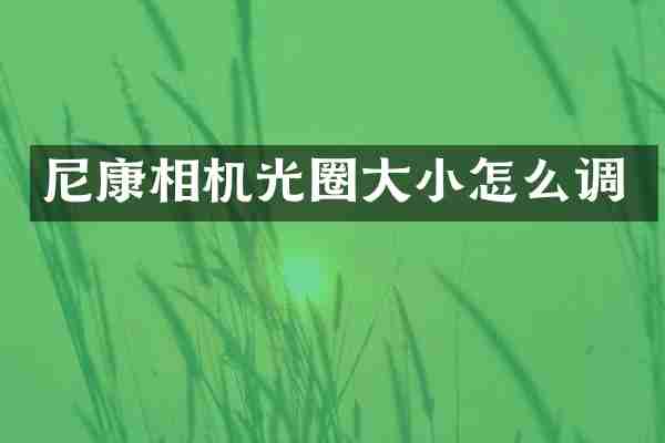 尼康相机光圈大小怎么调
