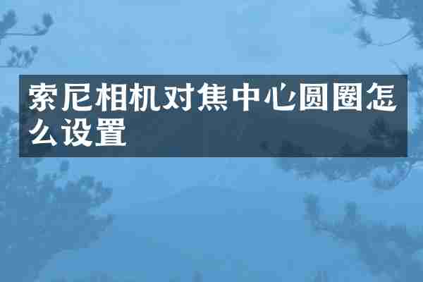 相机对焦中心圆圈怎么设置