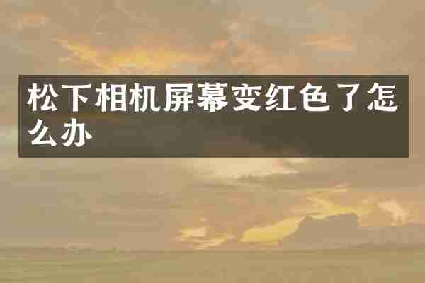 相机屏幕变红色了怎么办