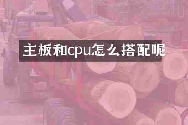 主板和cpu怎么搭配呢