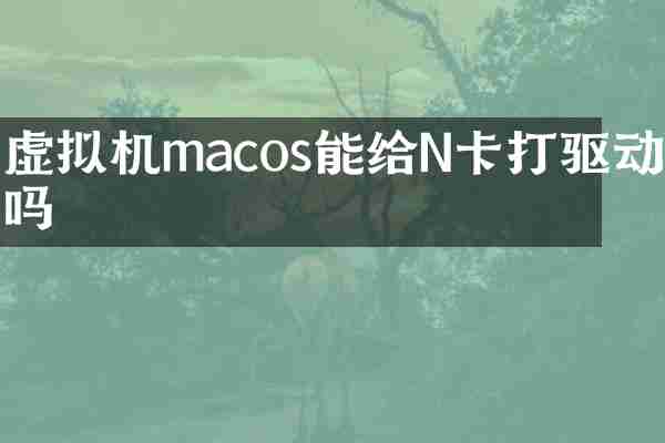 虚拟机macos能给N卡打驱动吗